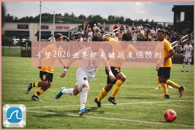 卡努2026世界杯关键战表现预测