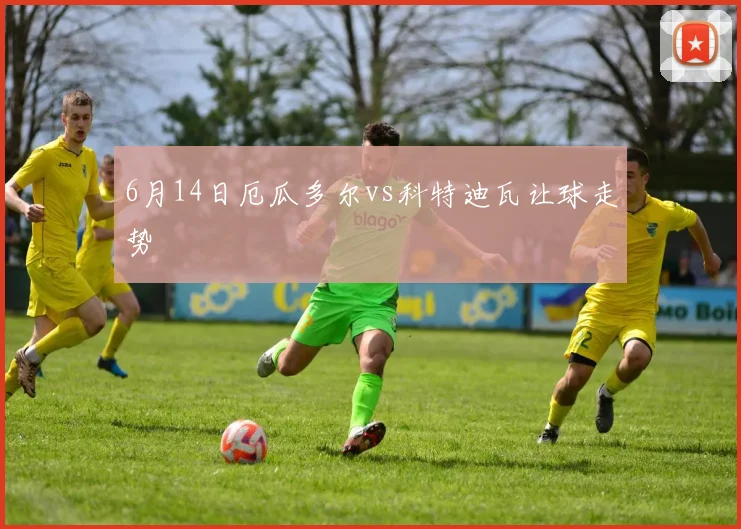 6月14日厄瓜多尔vs科特迪瓦让球走势