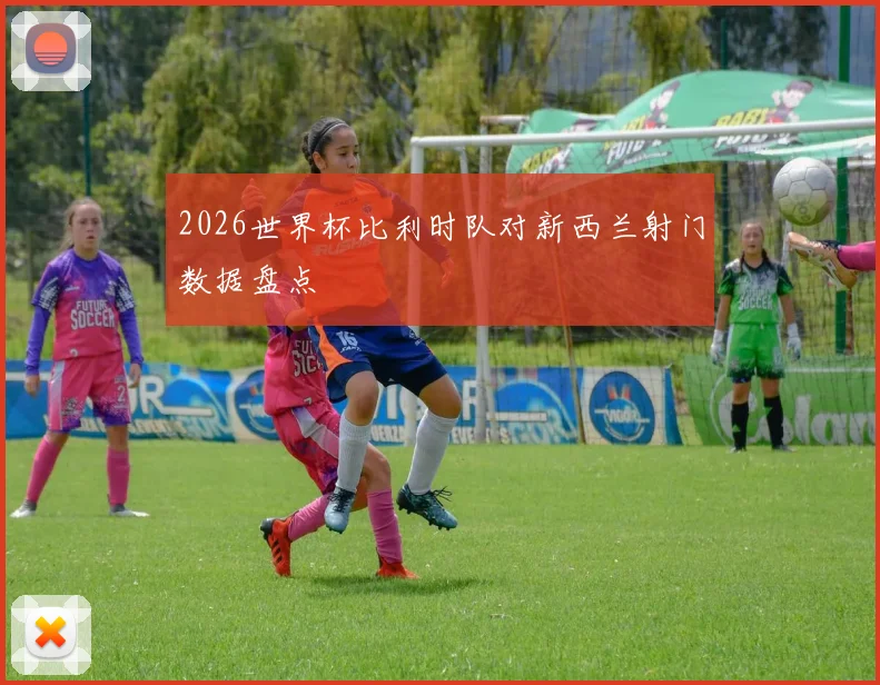 2026世界杯比利时队对新西兰射门数据盘点