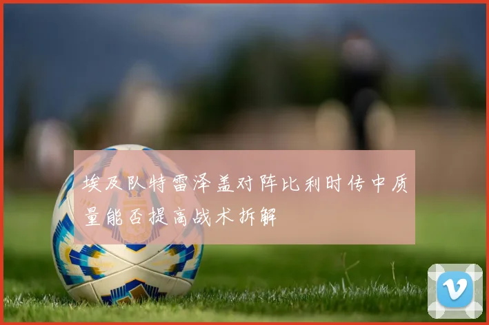 埃及队特雷泽盖对阵比利时传中质量能否提高战术拆解