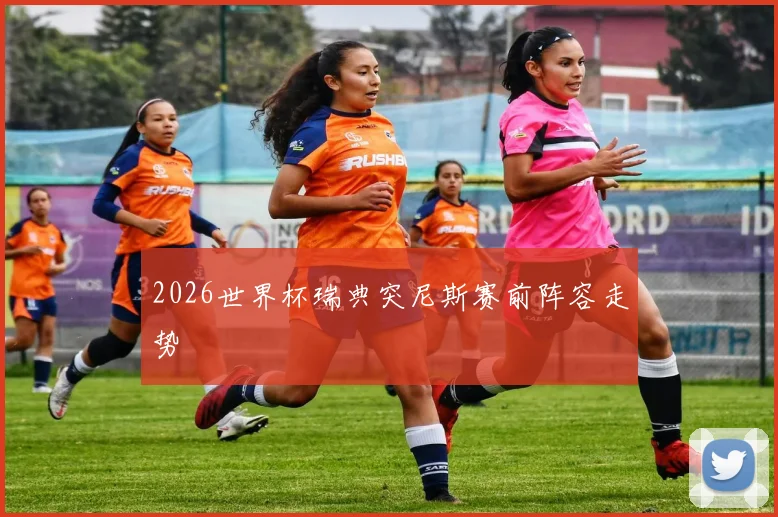 2026世界杯瑞典突尼斯赛前阵容走势