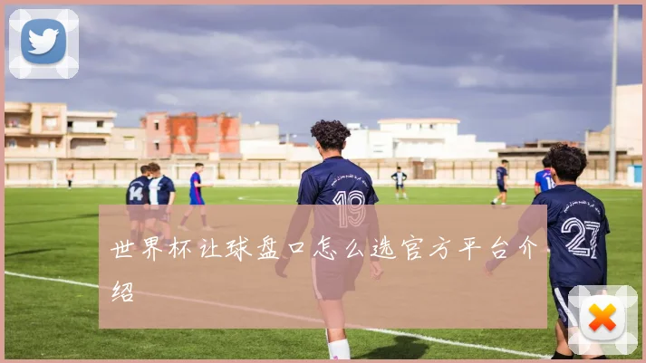 世界杯让球盘口怎么选官方平台介绍