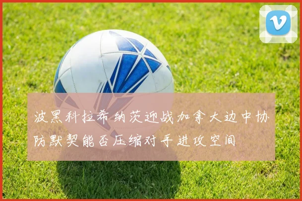 波黑科拉希纳茨迎战加拿大边中协防默契能否压缩对手进攻空间